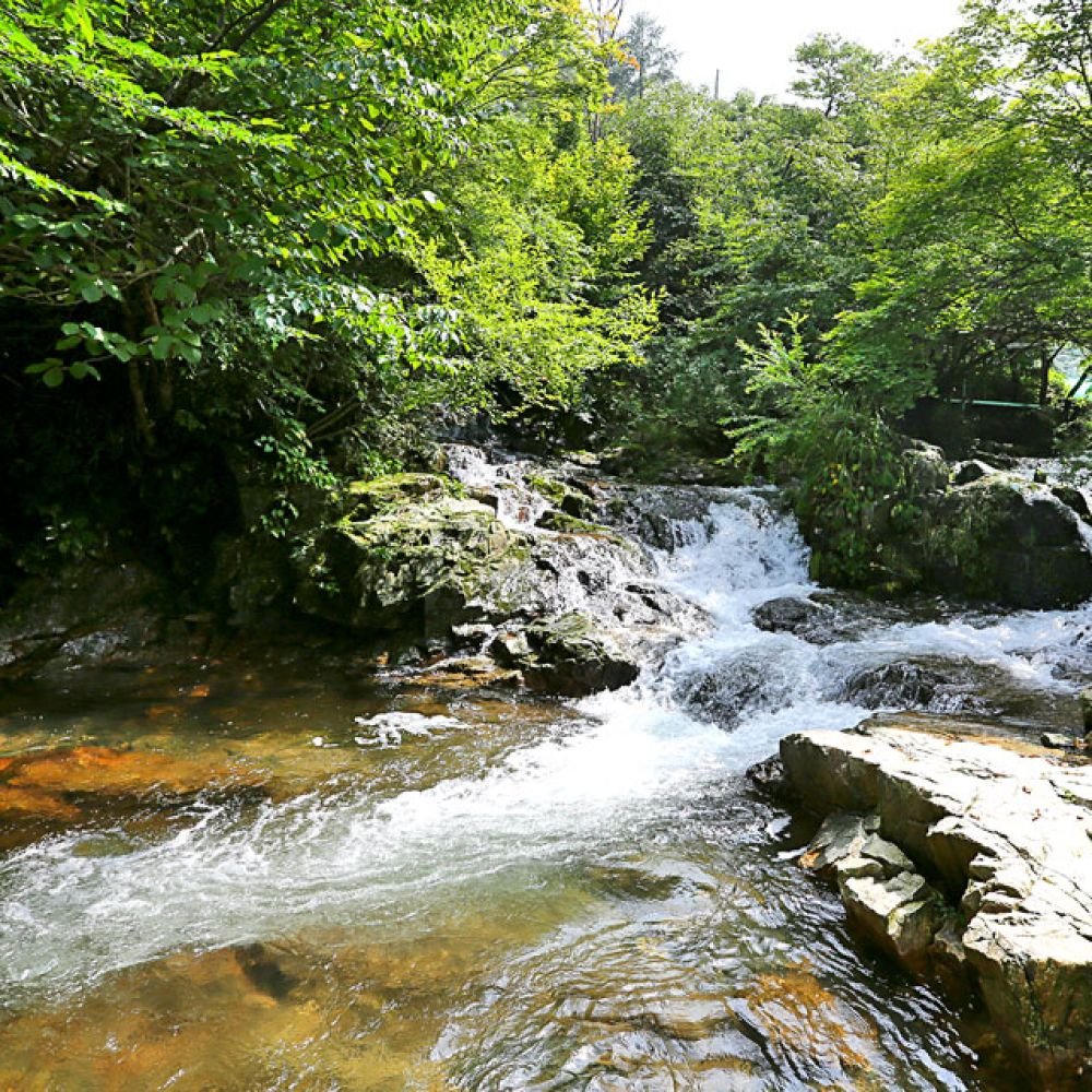 계곡전경