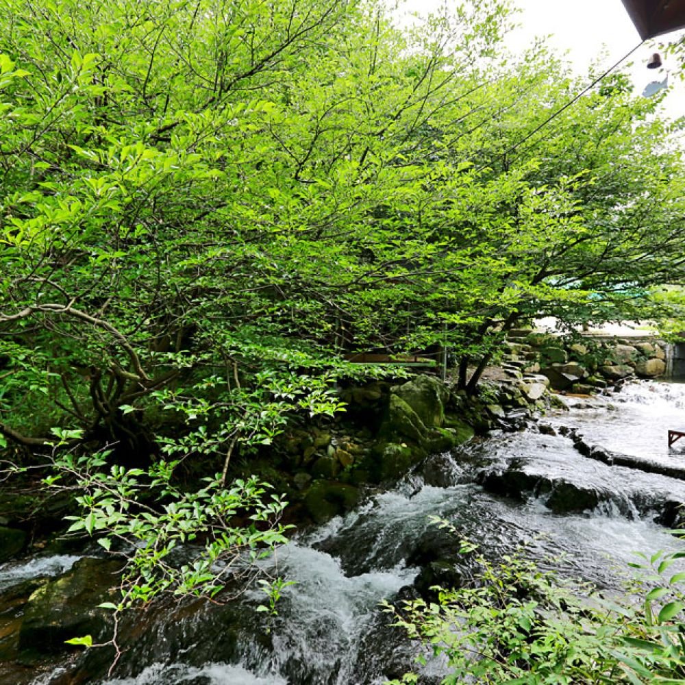 계곡전경