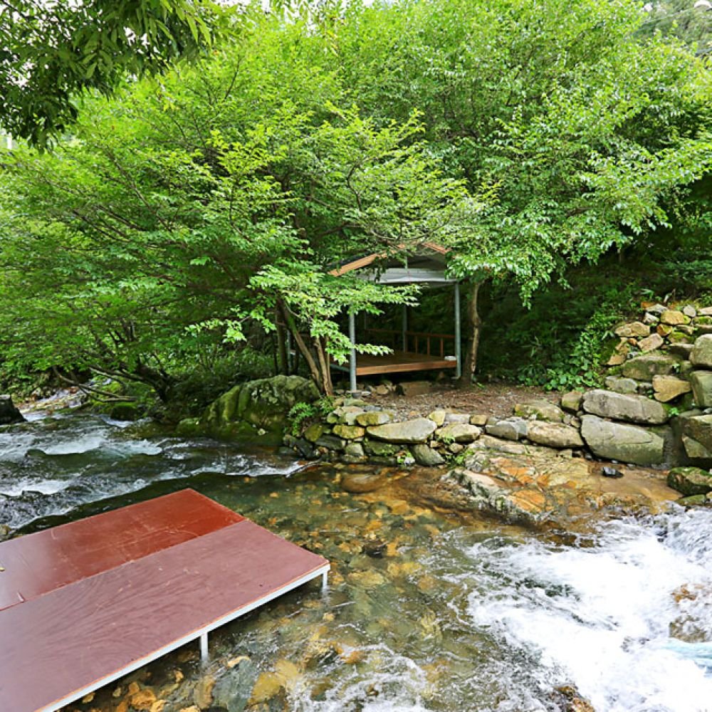 계곡전경