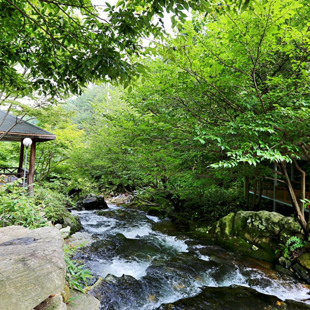 계곡전경