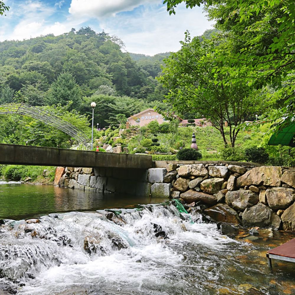 주간전경