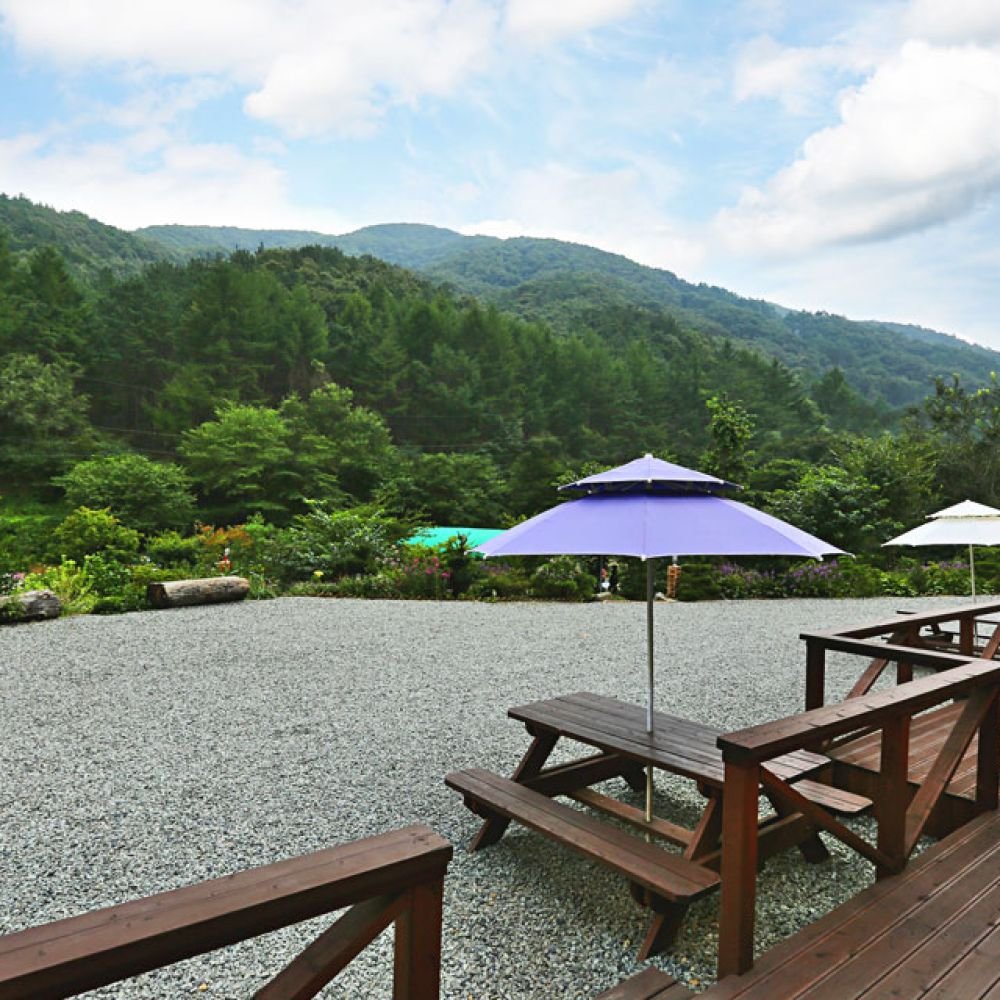 주간전경